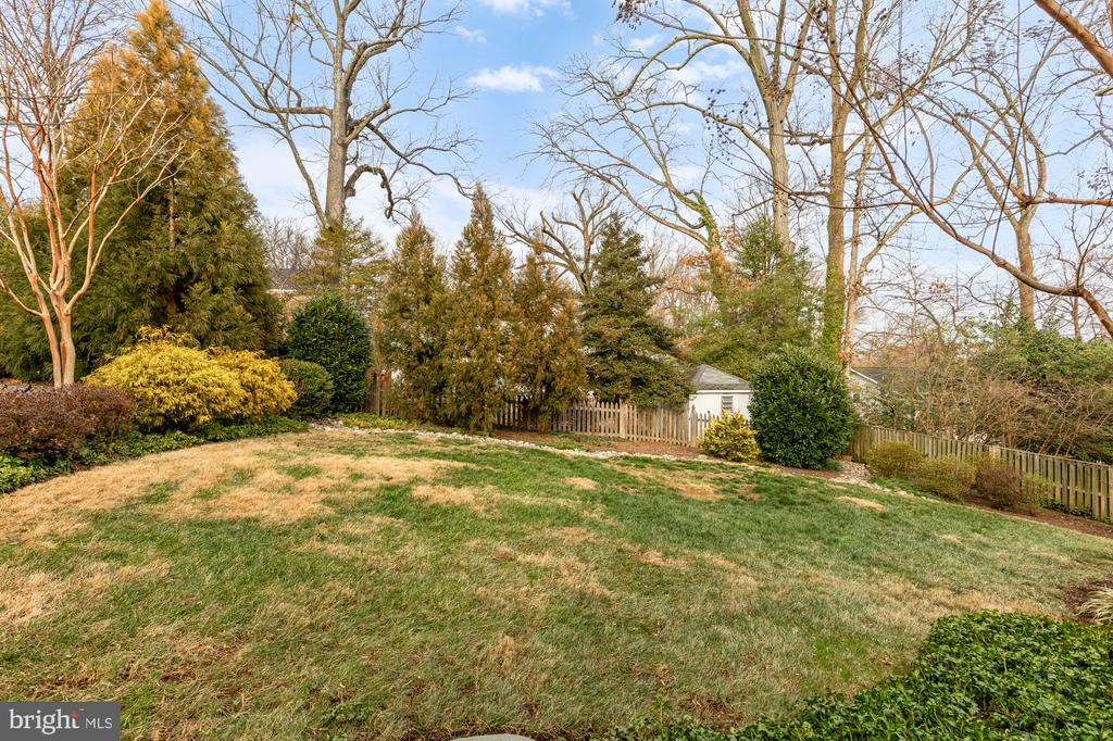 1511 LIVE OAK DRIVE