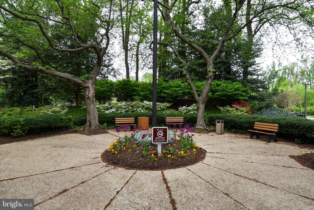 5225 POOKS HILL ROAD Unit: 803 N