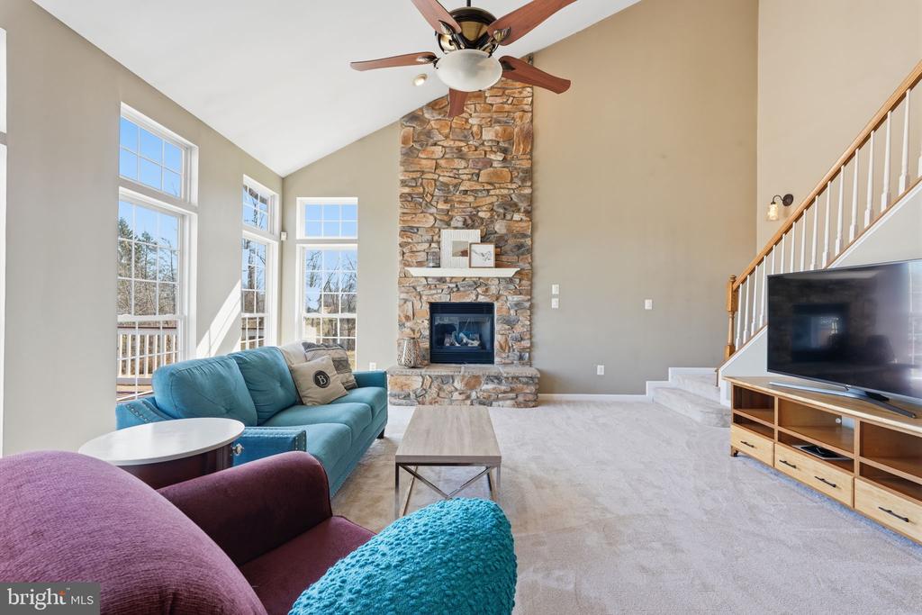 23619 WHITE PEACH COURT
