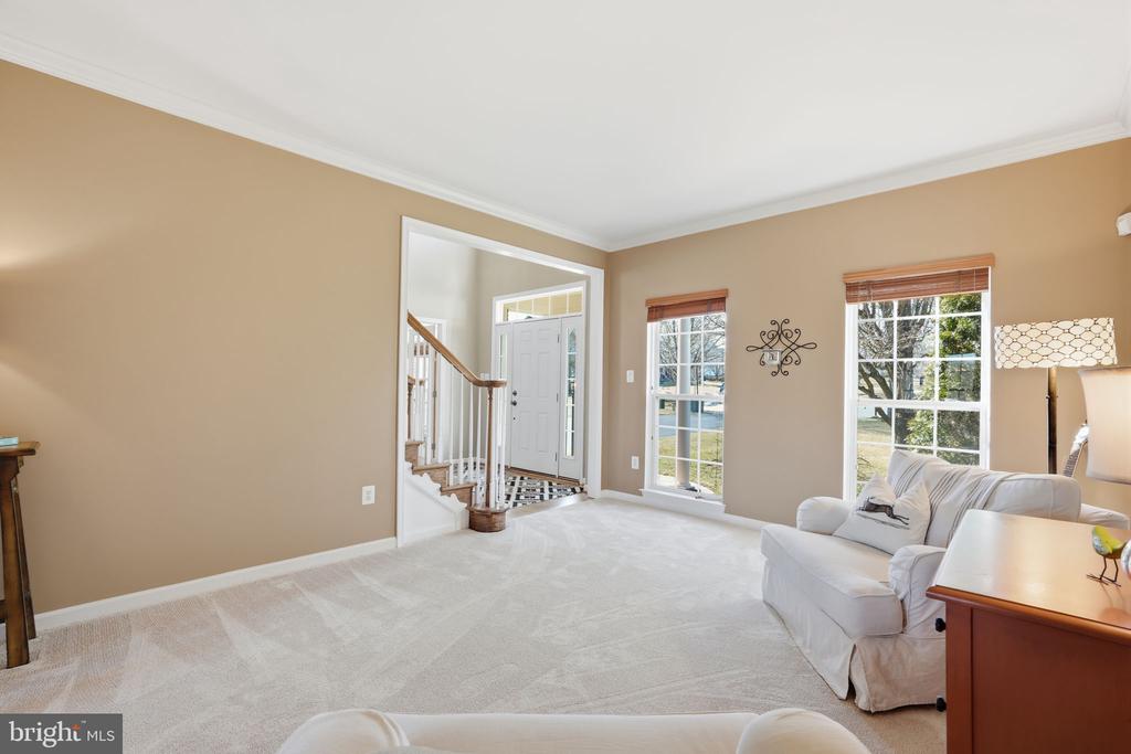 23619 WHITE PEACH COURT