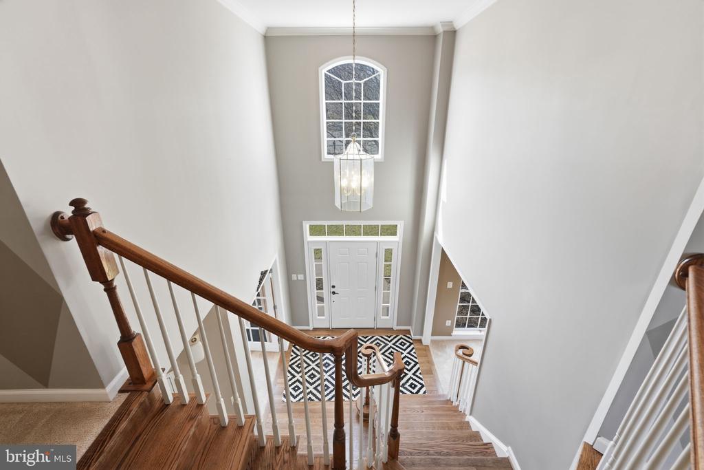 23619 WHITE PEACH COURT