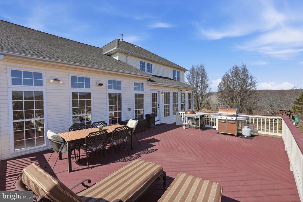 23619 WHITE PEACH COURT