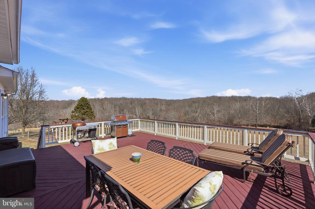 23619 WHITE PEACH COURT