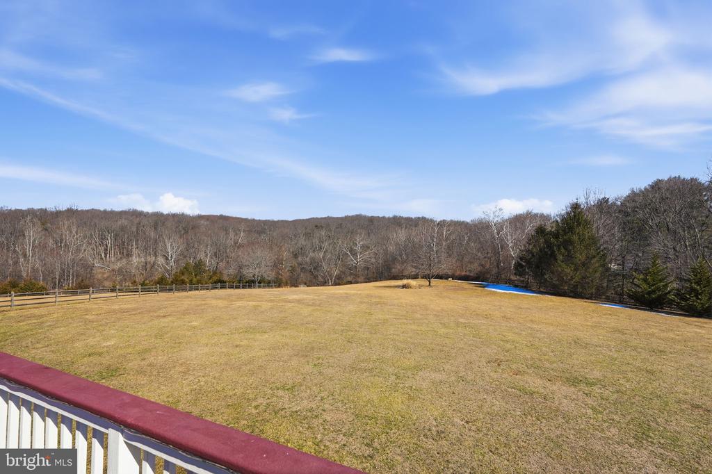 23619 WHITE PEACH COURT