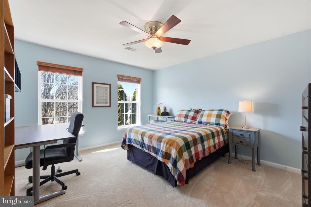 23619 WHITE PEACH COURT