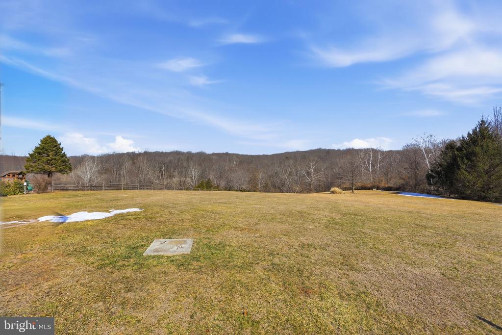23619 WHITE PEACH COURT