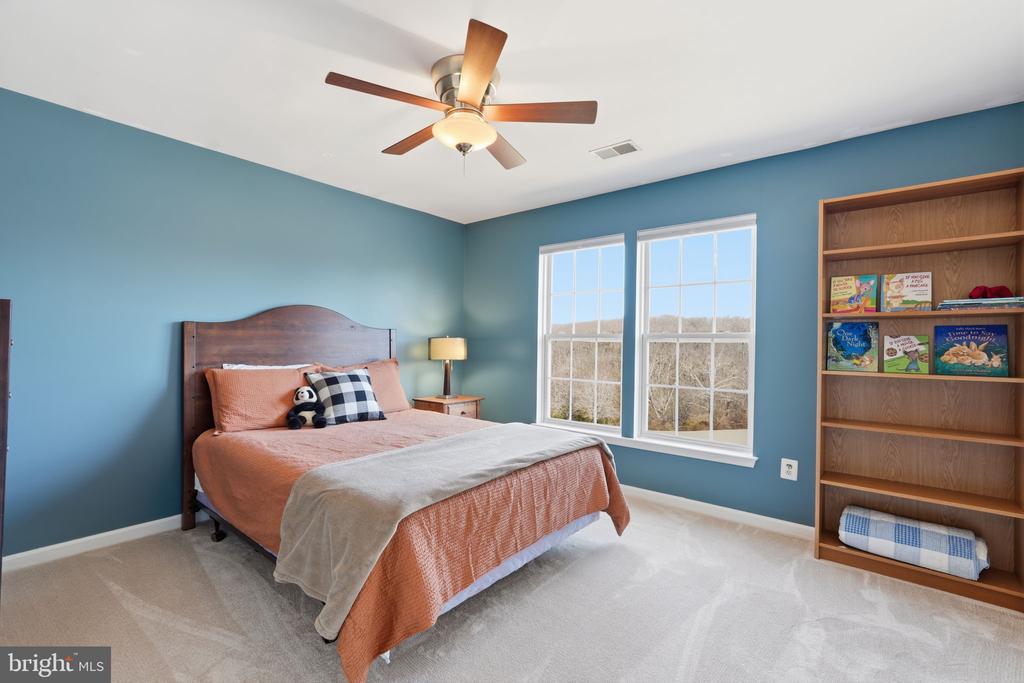 23619 WHITE PEACH COURT