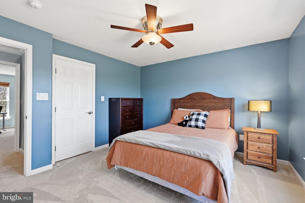 23619 WHITE PEACH COURT