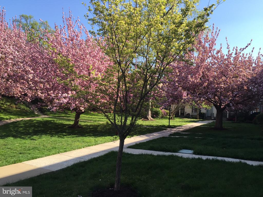 4920 BRADLEY BOULEVARD Unit: 237