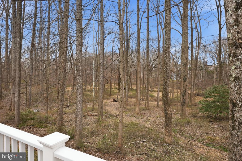 718 TURTLE POND LANE