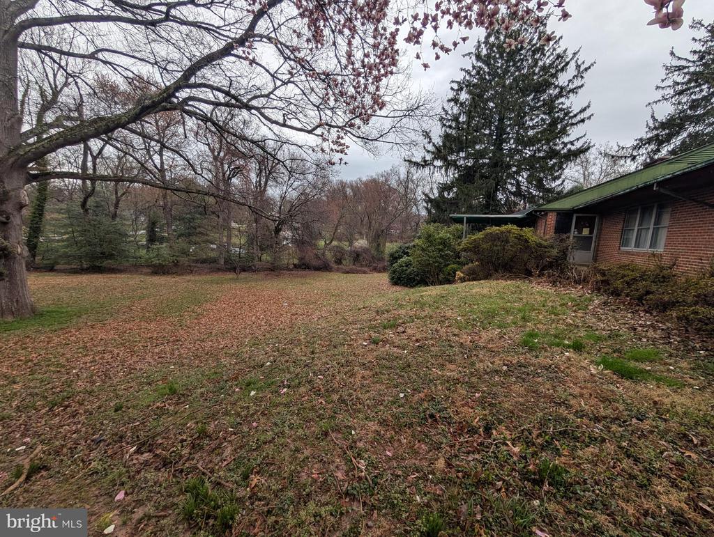 523 COPLEY LANE