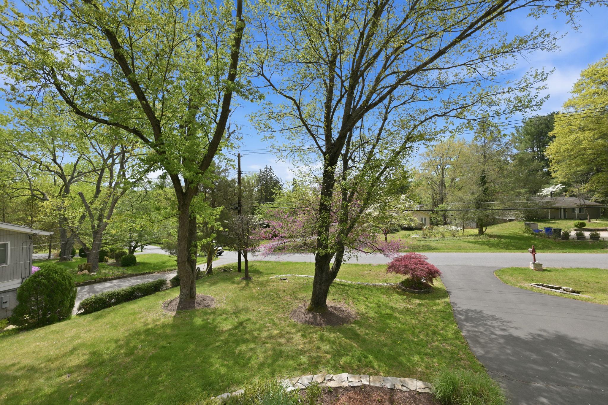 9825 BETTEKER LANE