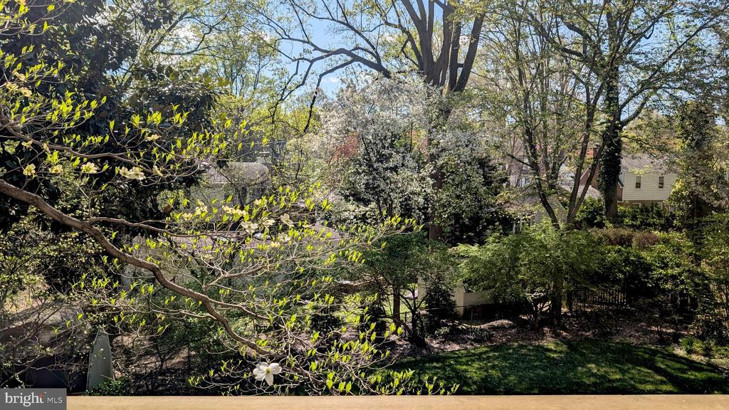 213 CRESTMOOR CIRCLE