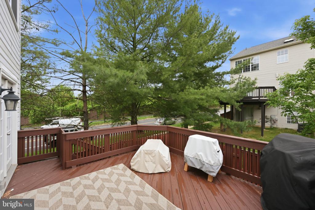 2355 MASSANUTTEN DRIVE