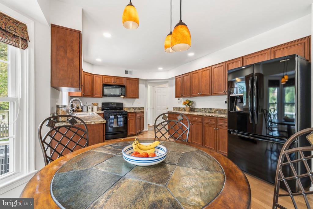 17709 CRYSTAL SPRING TERRACE