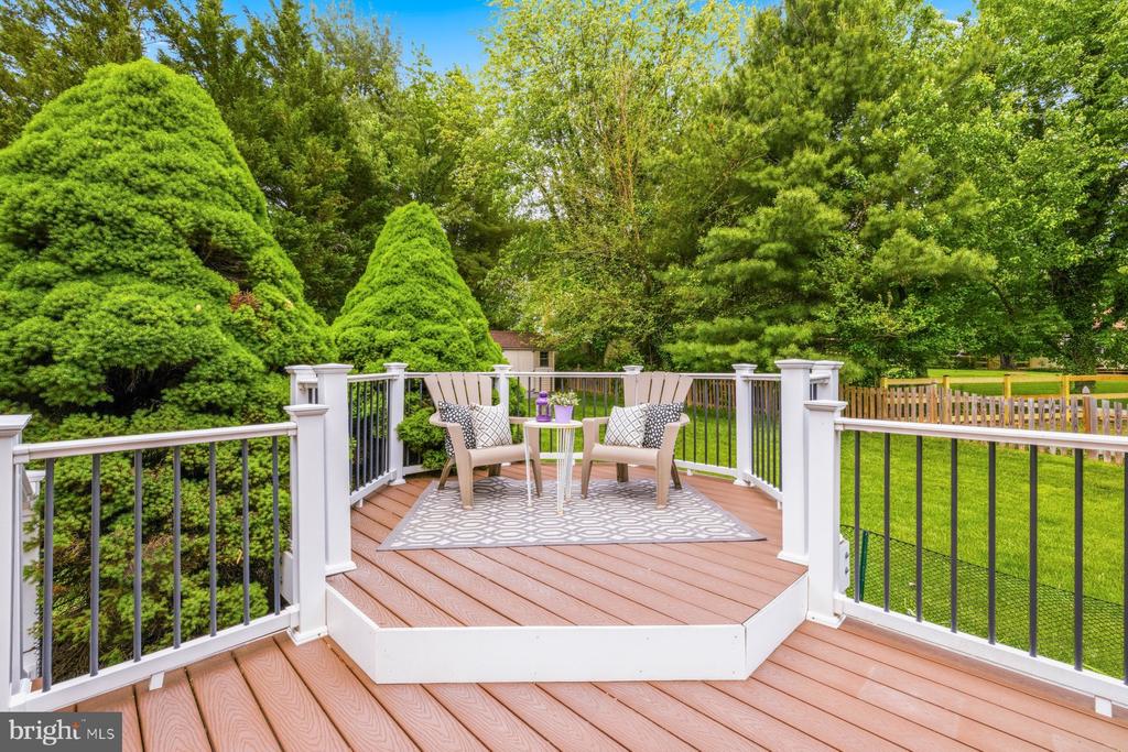 17709 CRYSTAL SPRING TERRACE
