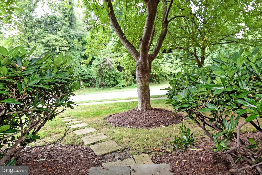 5153 WESTBARD AVENUE Unit: 15