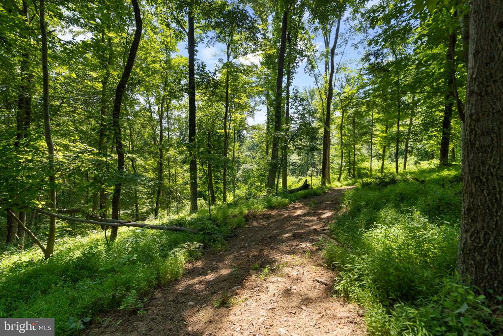22015 WILDCAT ROAD