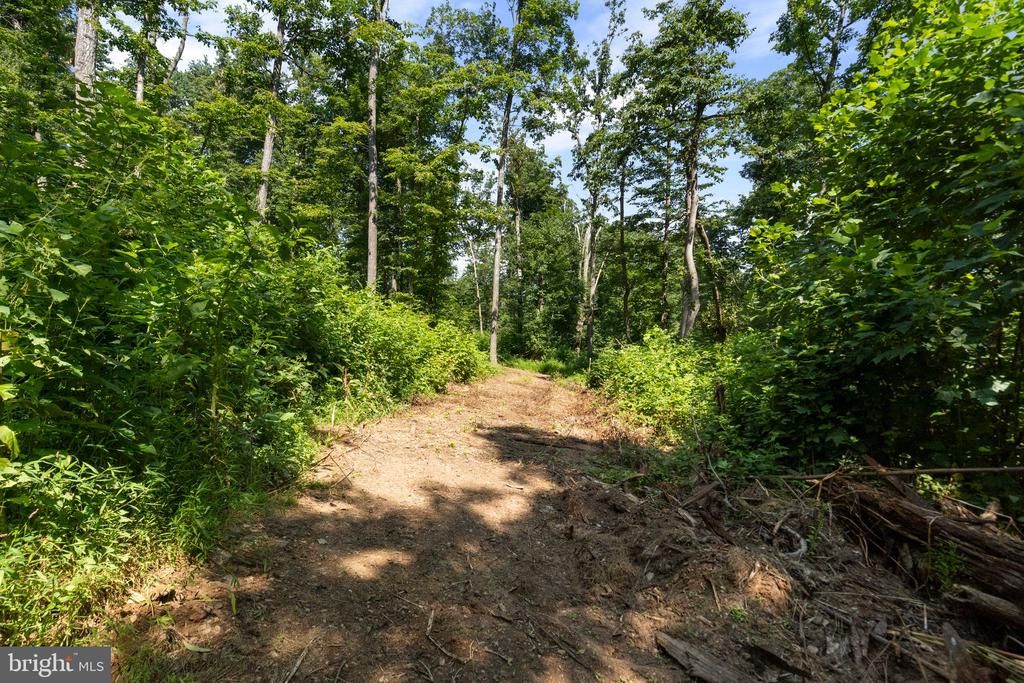 22015 WILDCAT ROAD