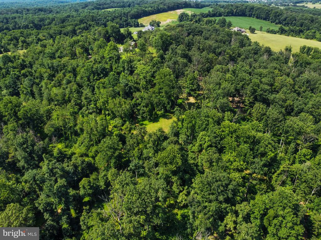 22015 WILDCAT ROAD