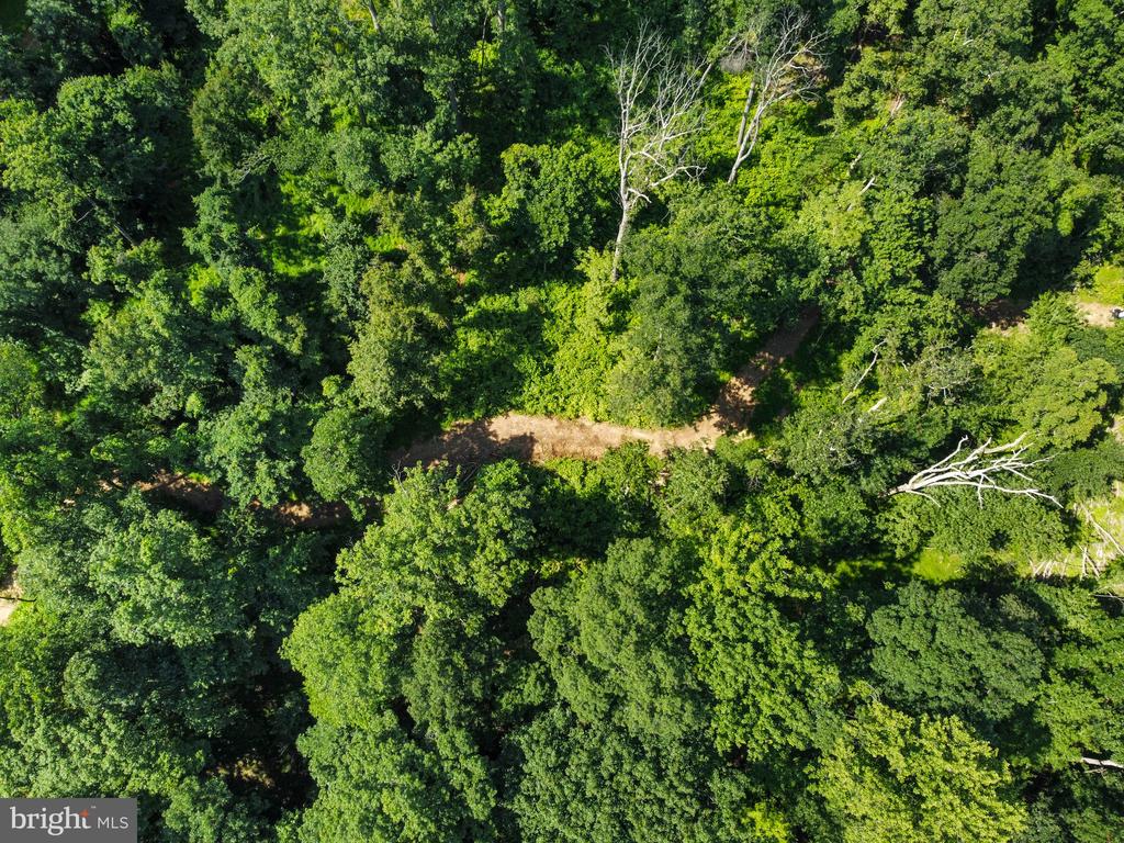 22015 WILDCAT ROAD