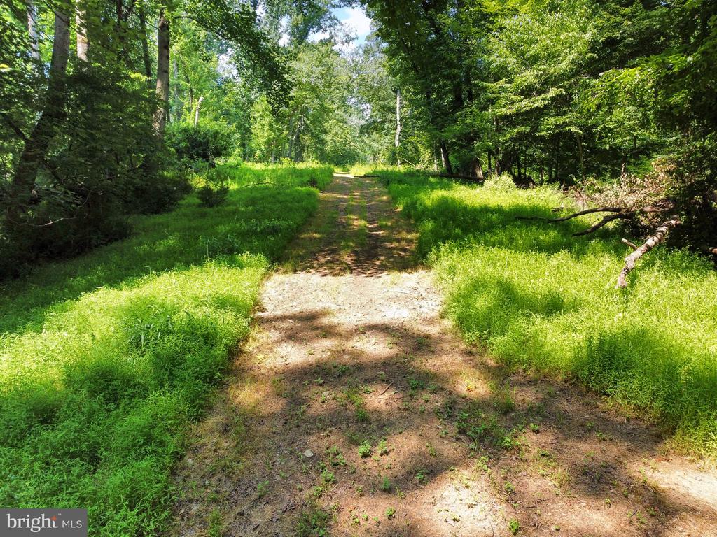 22015 WILDCAT ROAD