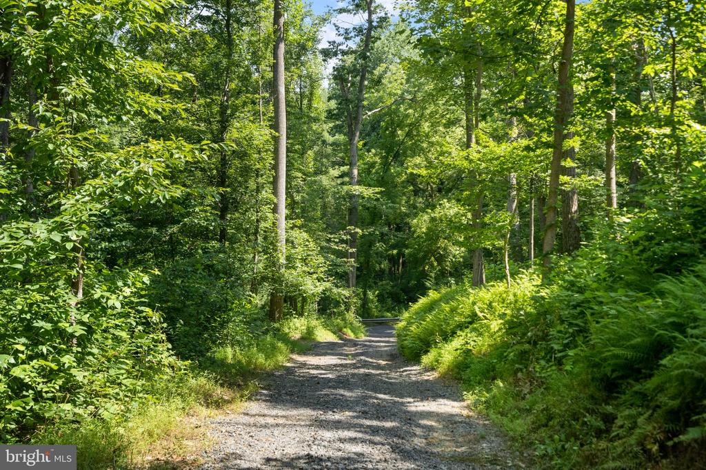22015 WILDCAT ROAD