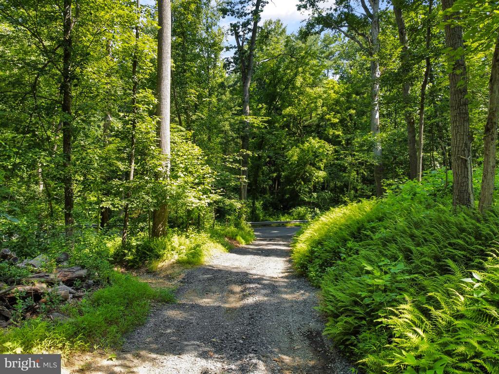 22015 WILDCAT ROAD