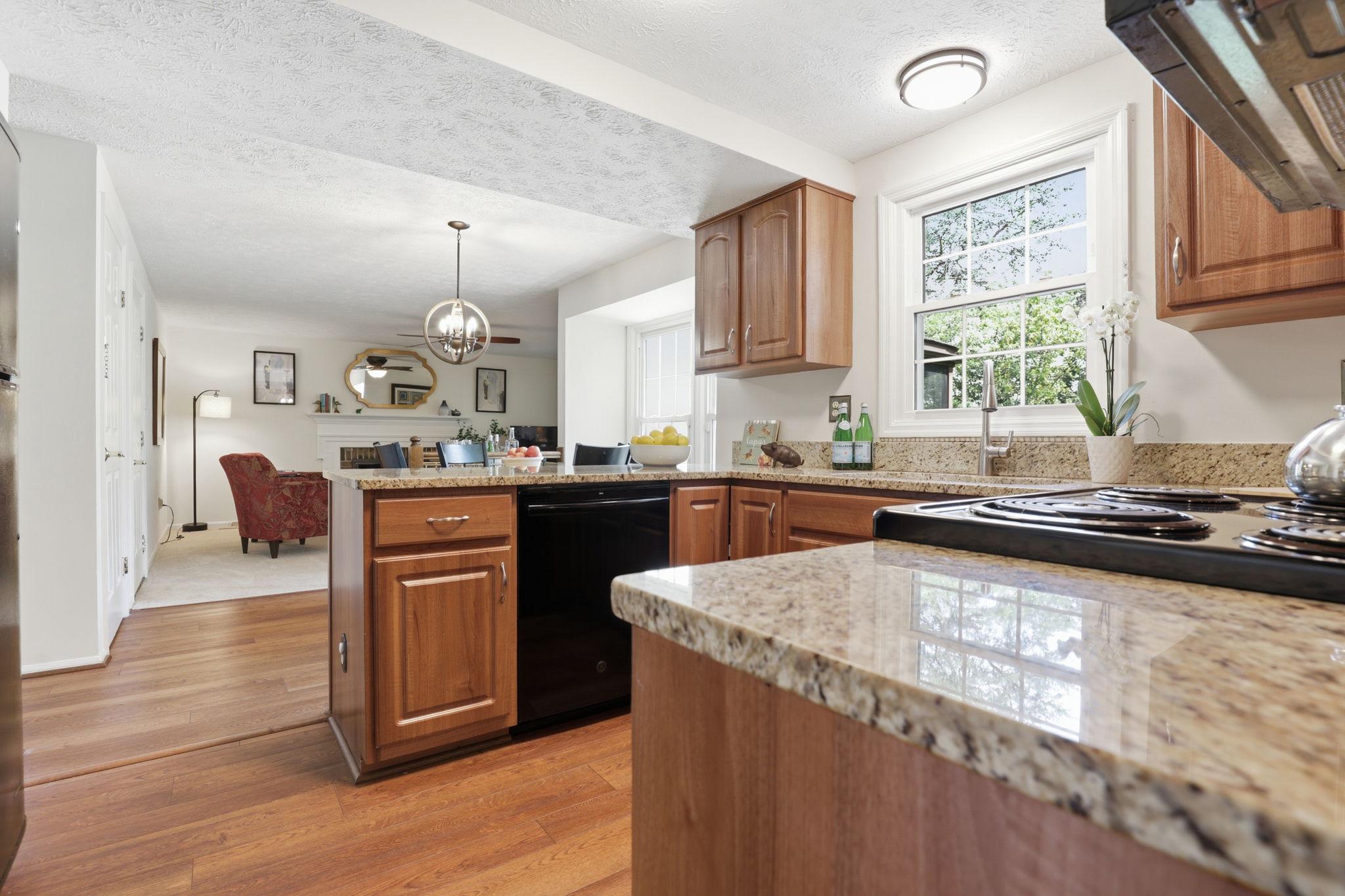 4205 WHITE TULIP COURT