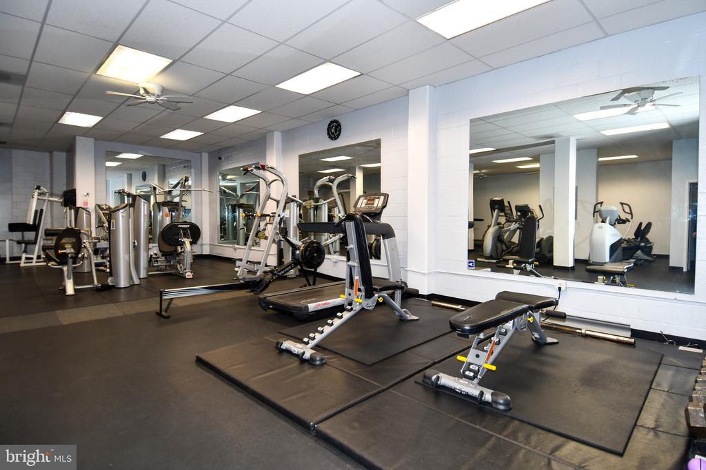 4515 WILLARD AVENUE Unit: 1201S