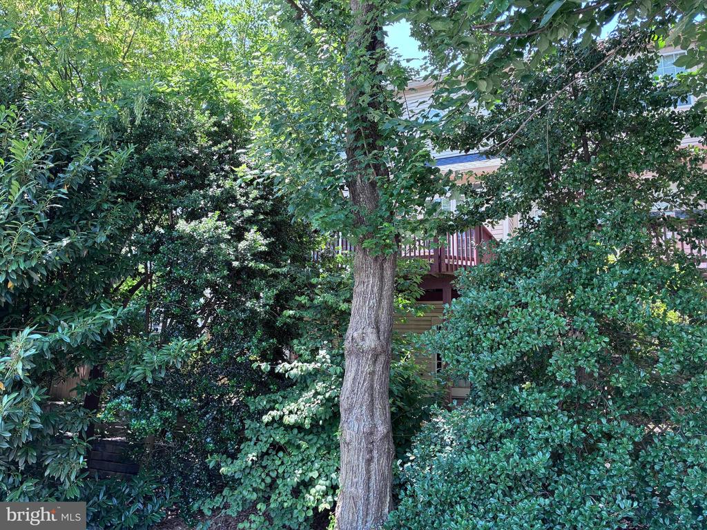 214 HALPINE WALK COURT