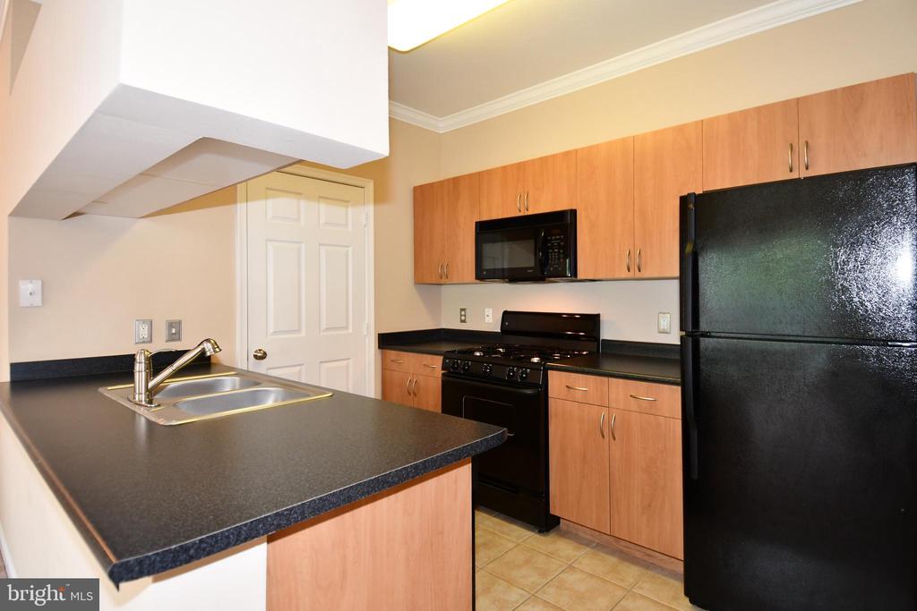 13502 DERRY GLEN COURT Unit: 202