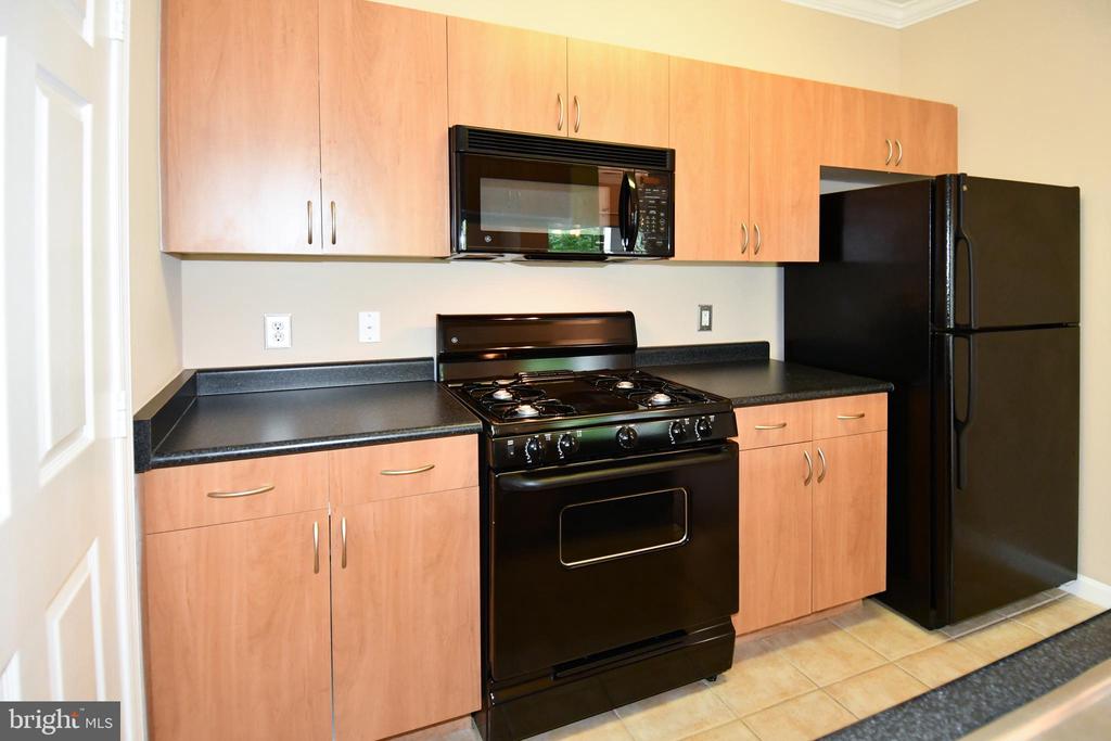13502 DERRY GLEN COURT Unit: 202