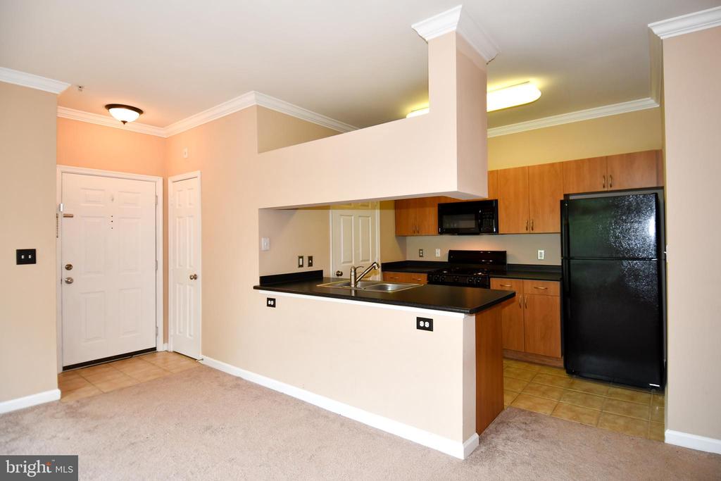 13502 DERRY GLEN COURT Unit: 202