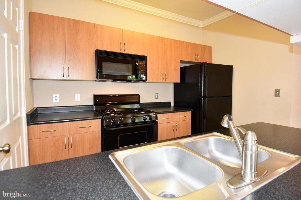 13502 DERRY GLEN COURT Unit: 202