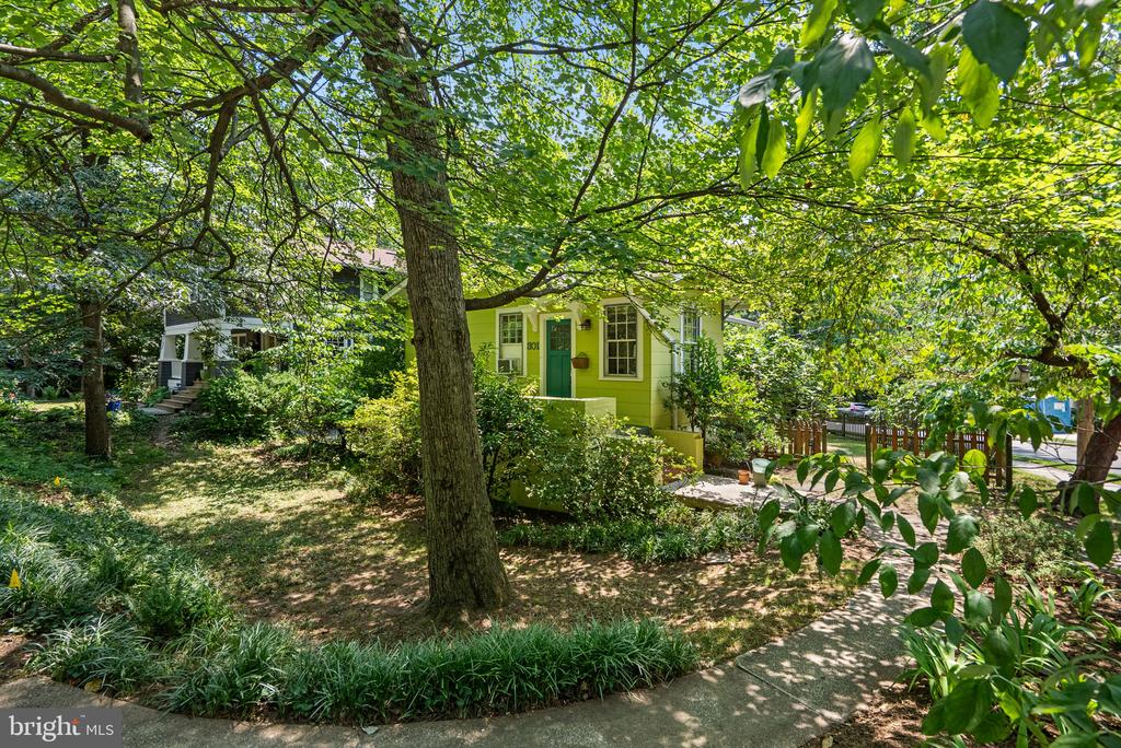 301 ELM AVENUE