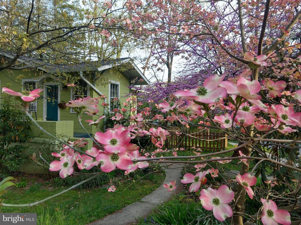 301 ELM AVENUE