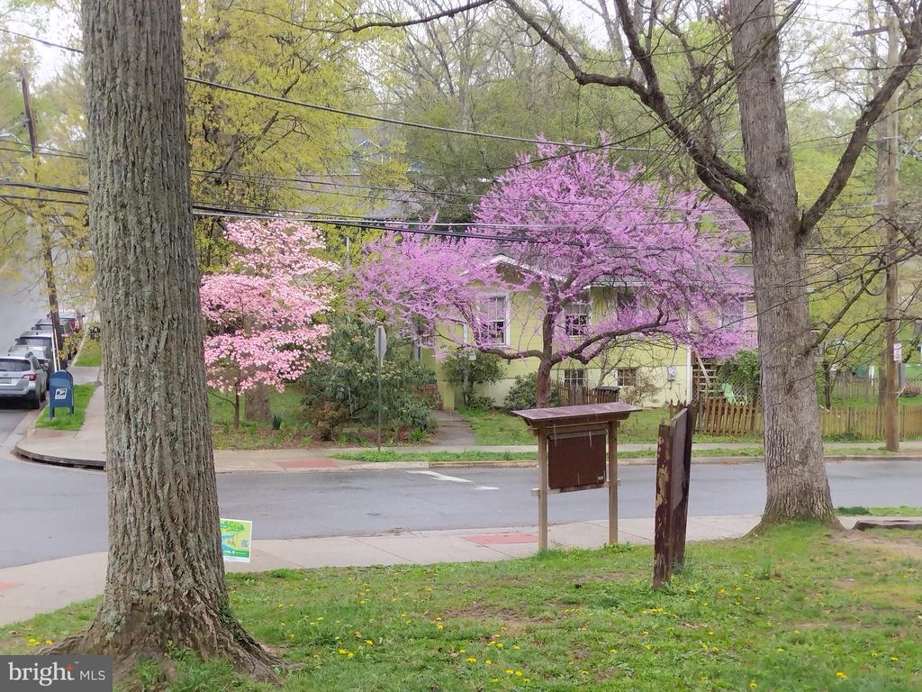 301 ELM AVENUE