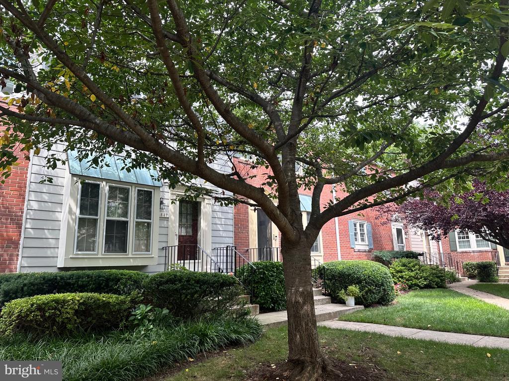 4847 CHEVY CHASE DRIVE Unit: 172