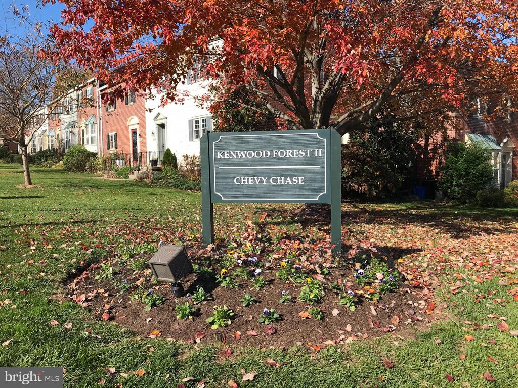 4847 CHEVY CHASE DRIVE Unit: 172