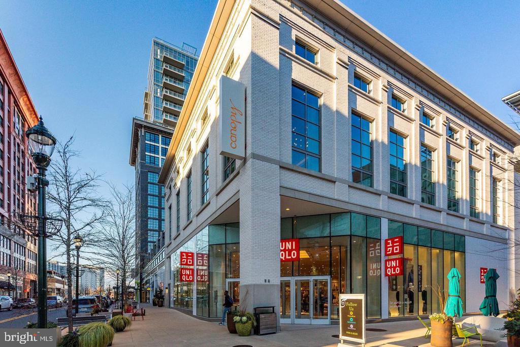 11801 ROCKVILLE PIKE Unit: 813