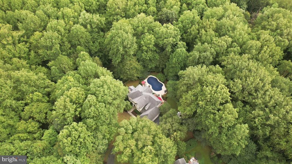12041 GREAT ELM DRIVE