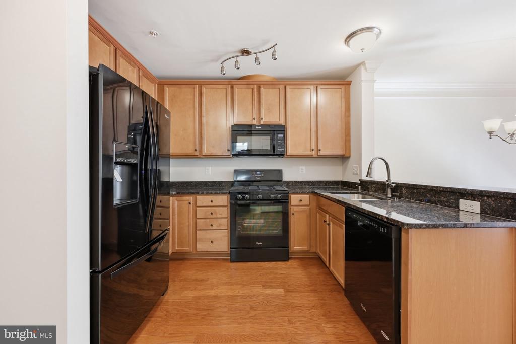 22956 SPICEBUSH DRIVE Unit: 1411