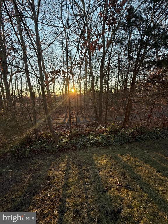 13148 BROOKTREE LANE