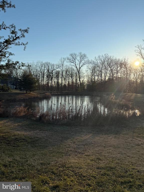 13148 BROOKTREE LANE