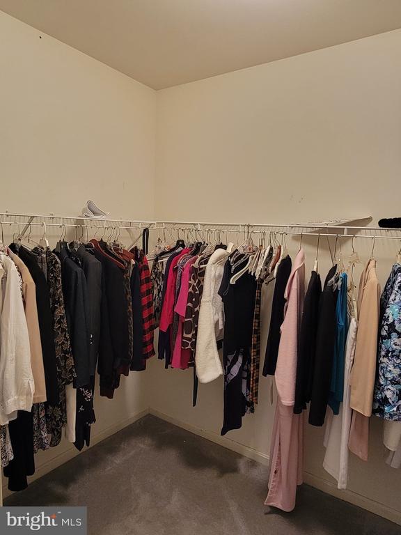 310 BATHURST STREET