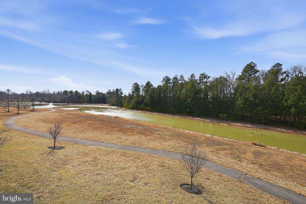 15411 CHADDSFORD LAKE DRIVE