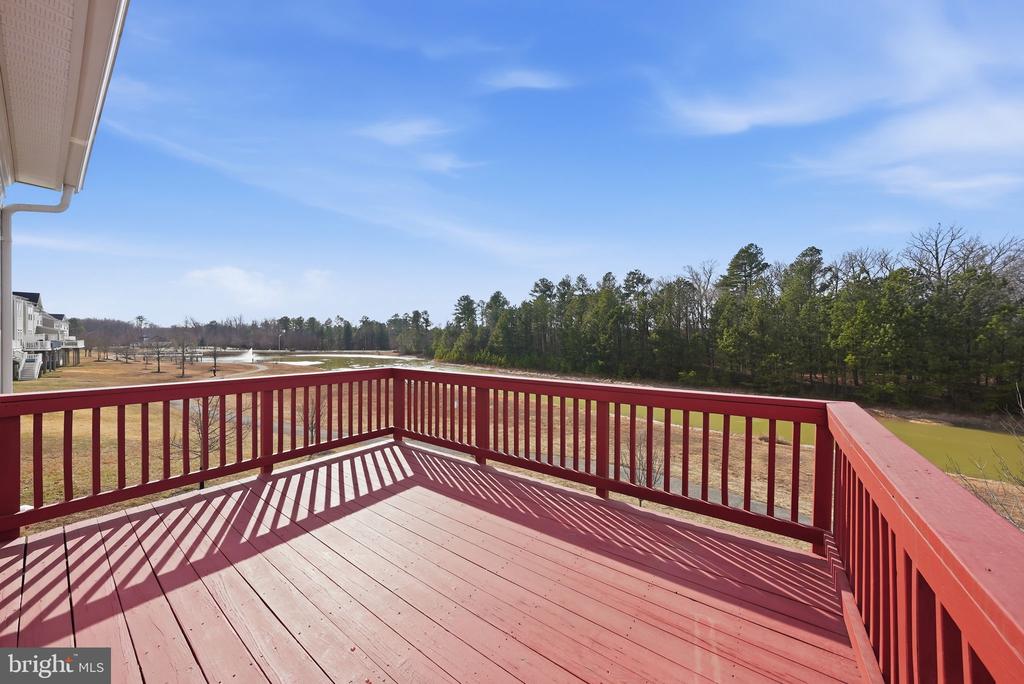 15411 CHADDSFORD LAKE DRIVE