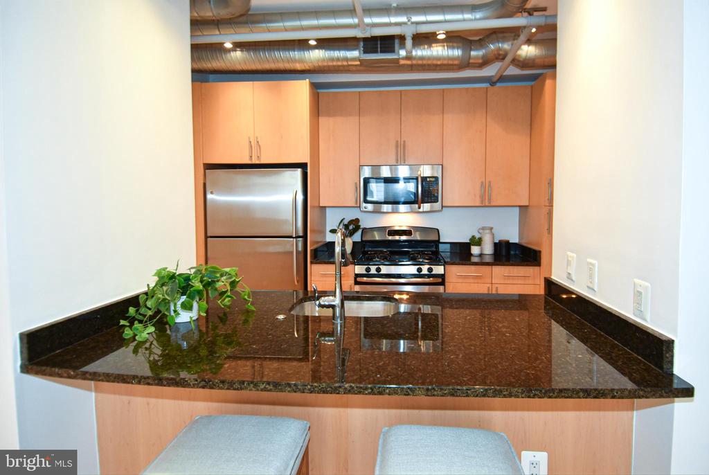 3800 LANGSTON BOULEVARD Unit: 203