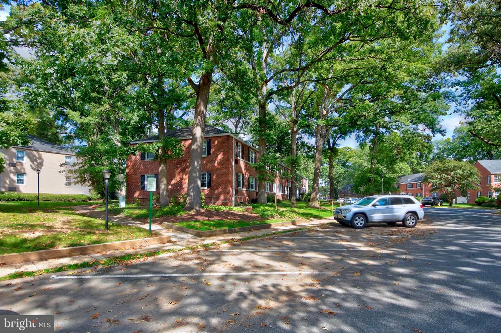 229 N GEORGE MASON DRIVE Unit: 229-3
